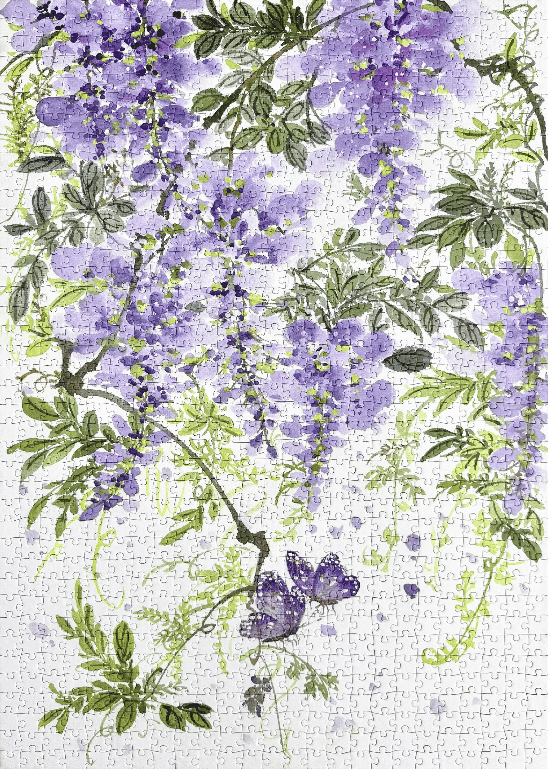 A Curtain of Quiet Dreams Puzz
